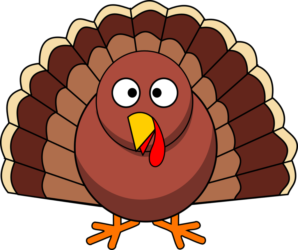 turkey, thanksgiving, poultry-1299176.jpg